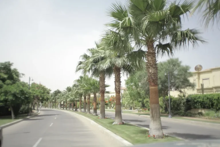 مشروع Gardenia Park 1 in 6th of October City by IGI Real Estate في 6th of October City - الأسعار والمساحات