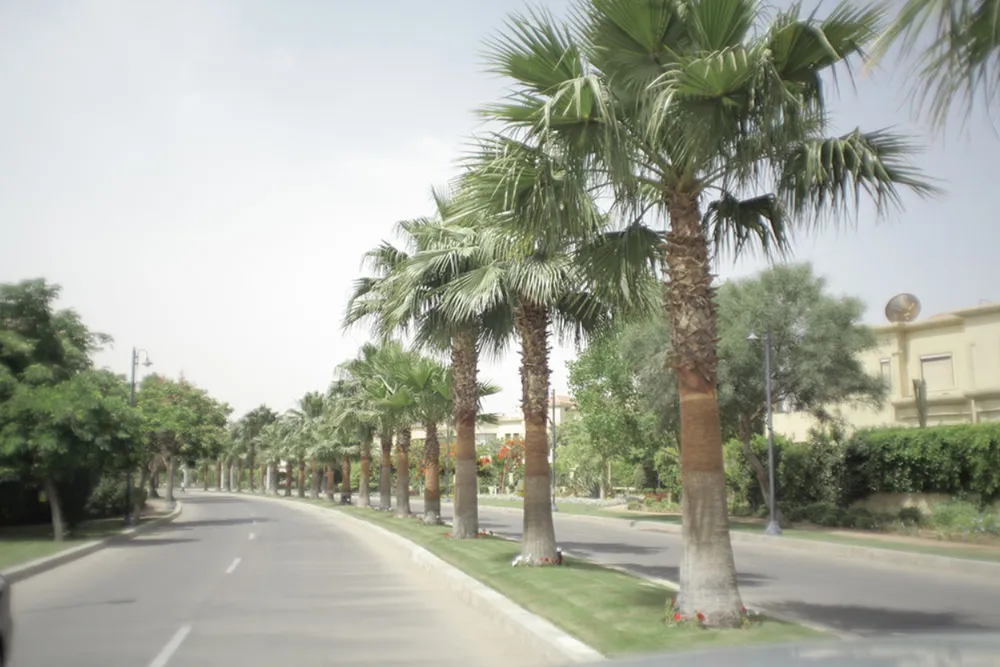 Gardenia Park 1 in 6th of October City by IGI Real Estate في 6th of October City - صورة المشروع