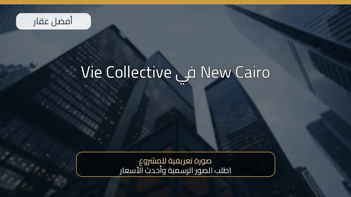 Vie Collective في New Cairo — صورة تعريفية للمشروع